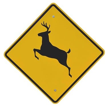 Deer Crossing Sign