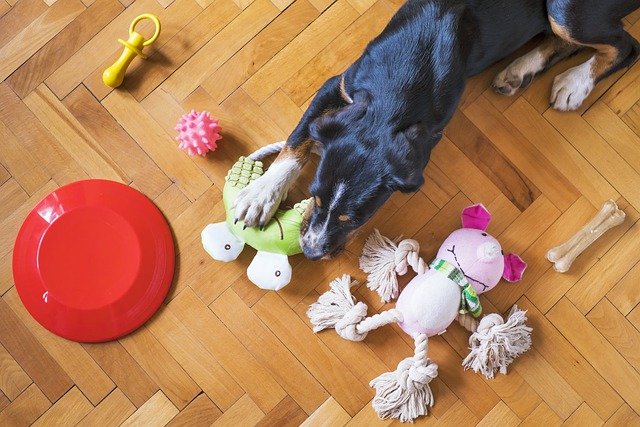 Safe Dog Chew Toys