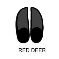 Red Deer Tracks