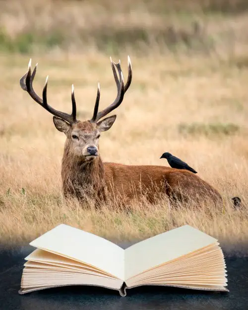 Deer Symbolism in Literature