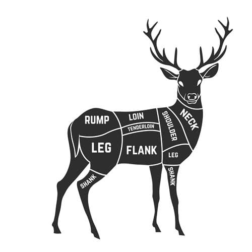 Venison Cuts of Meat Diagram