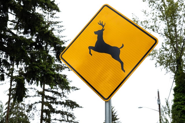 Deer Crossing Sign