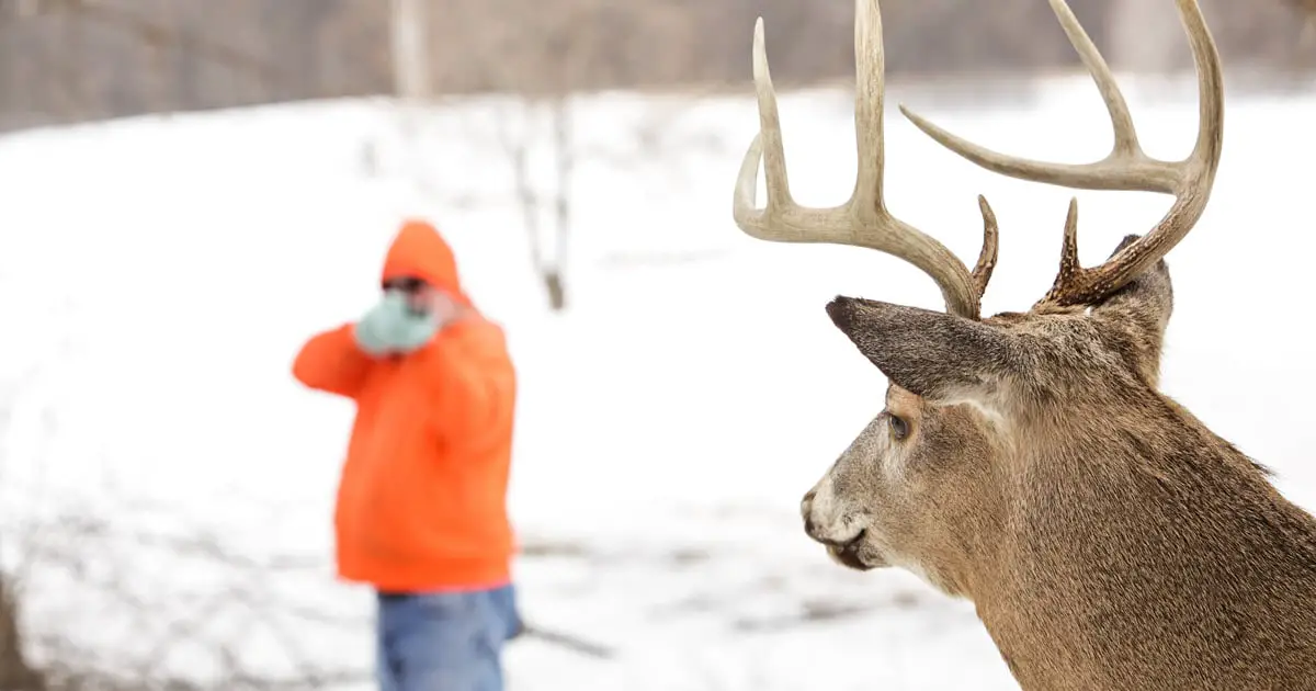 Where to Shoot a Deer to Drop It In Its Tracks