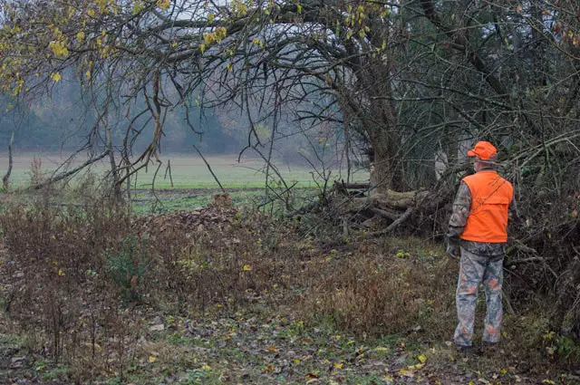 Deer Hunter in Orange