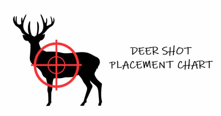 Deer Shot Placement Chart (where to shoot based on your position)