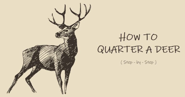 how-to-quarter-a-deer-step-by-step-guide-world-deer