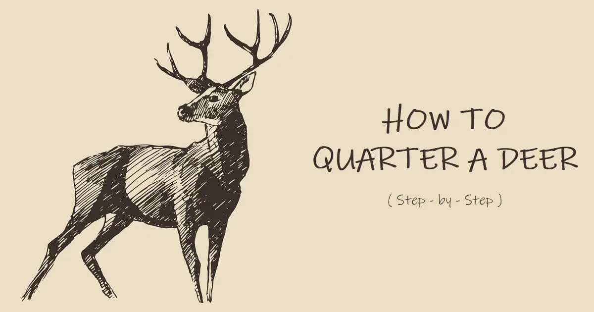 How to Quarter a Deer