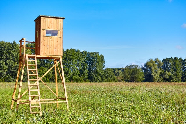 Blind Overlooking Deer Food Plot