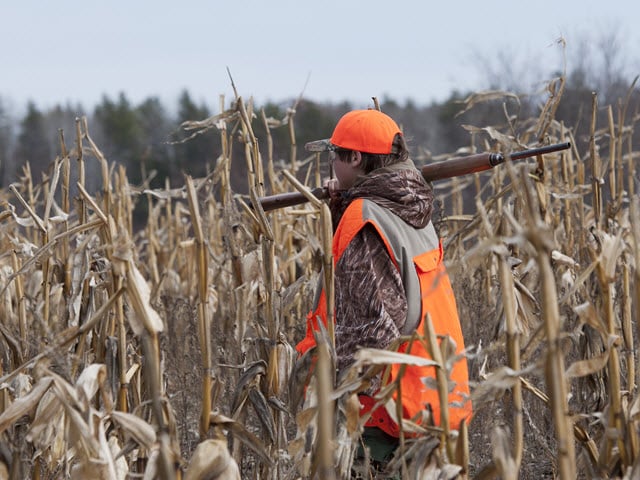 What Colors to Wear in the Woods to Avoid Detection by Deer