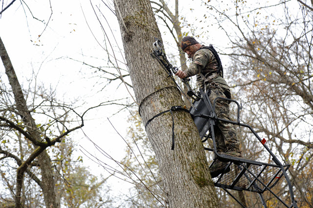 Where to Rattle for Bucks