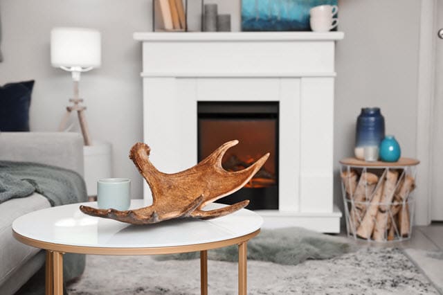 Deer Antler Decor