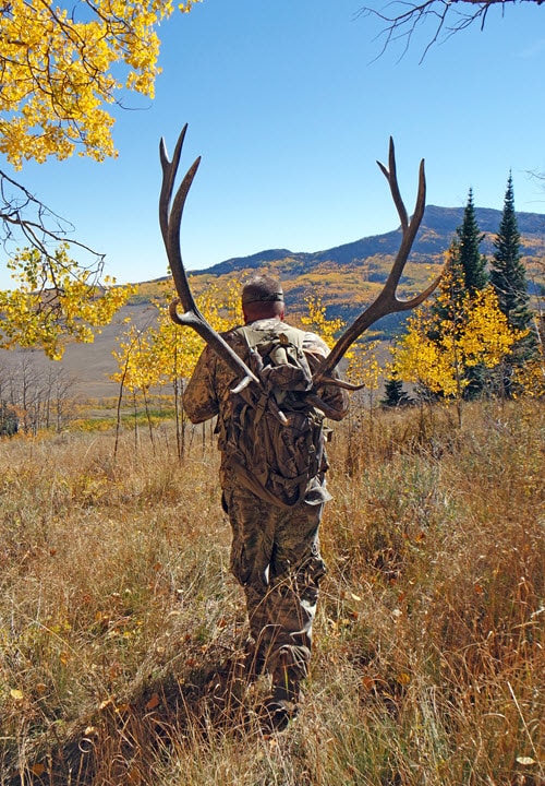 Elk Hunting