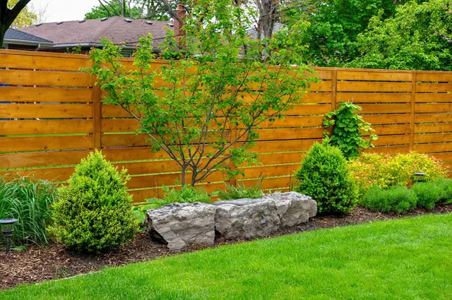 Installing Tall Fencing to Keep Deer Away From Your Plants and Garden