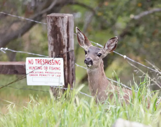 States That Are Not Deer Hunter Friendly