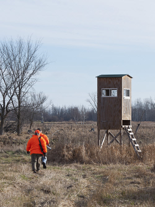 The Worst Deer Hunting States