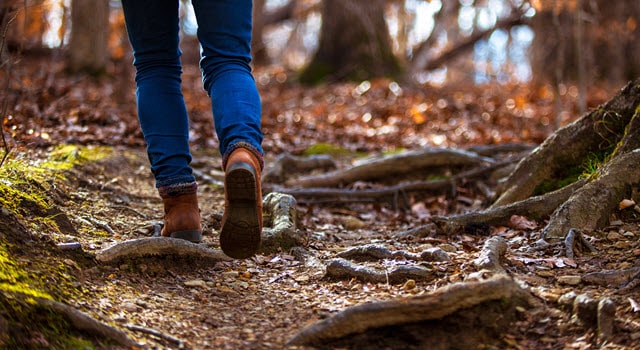 Tips For Deer Antler Hunting