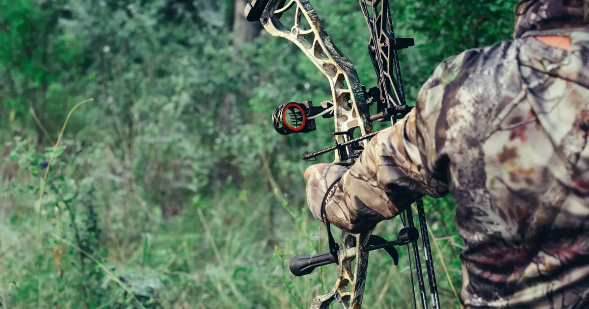 Where to Shoot a Deer With an Arrow