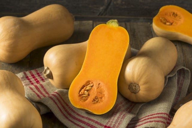 Do Deer Eat Squash?