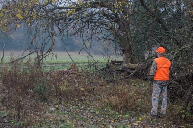 Deer Hunting Orange Clothes