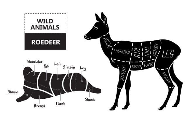 DIY Deer Processing and what types of meat are on a deer