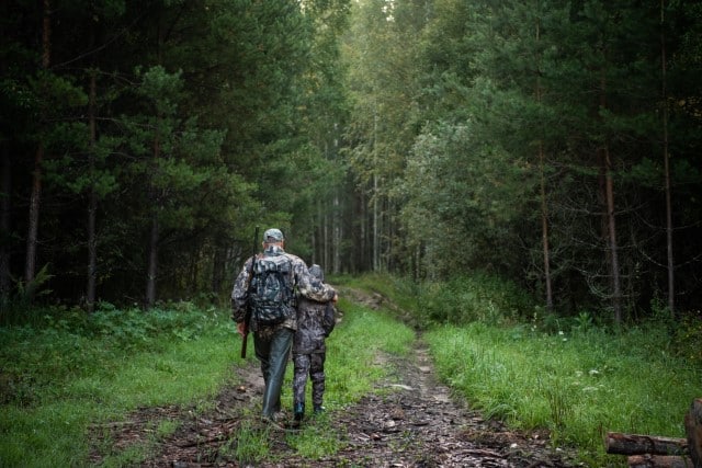 Best Time to Hunt Deer And Avoid Being Seen