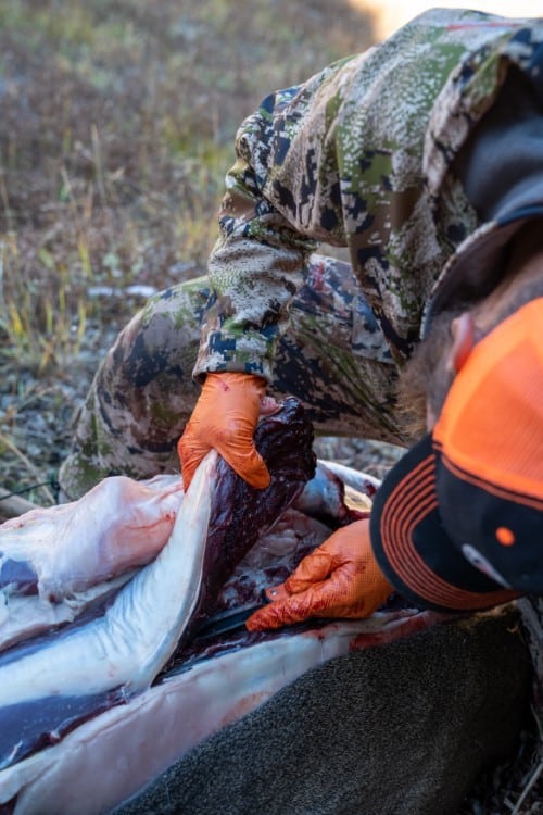 Finding Deer Diaphragm