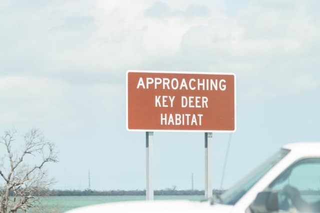 Key Deer Habitat