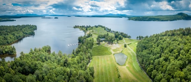 Moose in The Moosehead Lake Region