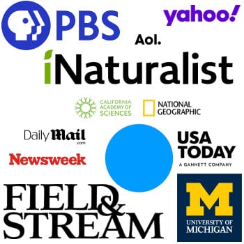 As Seen On PBS, AOL, Yahoo, iNaturalist (California Academy of Sciences, National Geographic), USA Today, Field & Stream, University of Michigan, Newsweek, Daily Mail