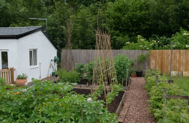 Use Gravel Around Garden Beds to Keep Deer Away