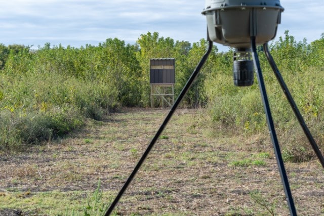 How to Use Timed Deer Feeders