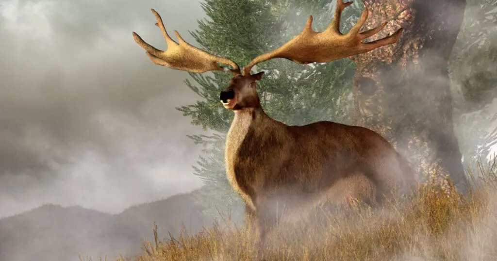 When Did The Irish Elk Go Extinct