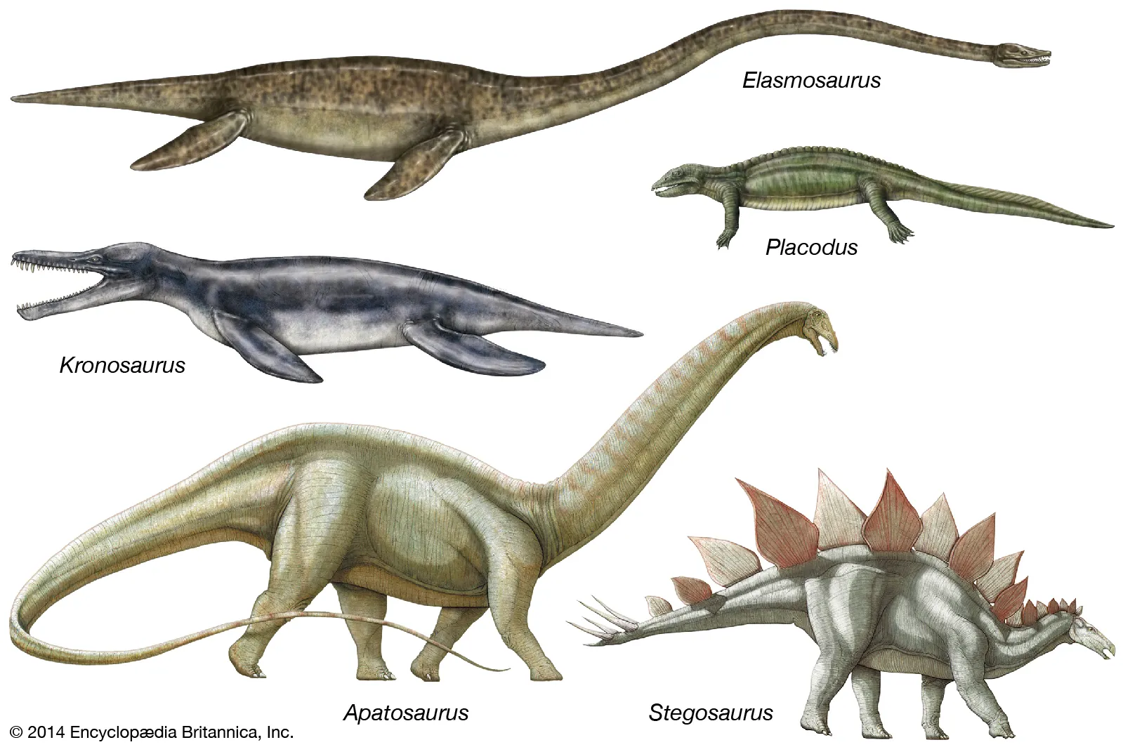 How Long Have Reptiles Existed on Earth?