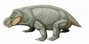 Anomodontia: Exploring the Ancient Mammal-Like Reptiles