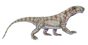 Biarmosuchia: The Ancient Predators Before Dinosaurs