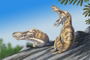 Therapsida Diet: What These Ancient Creatures Ate