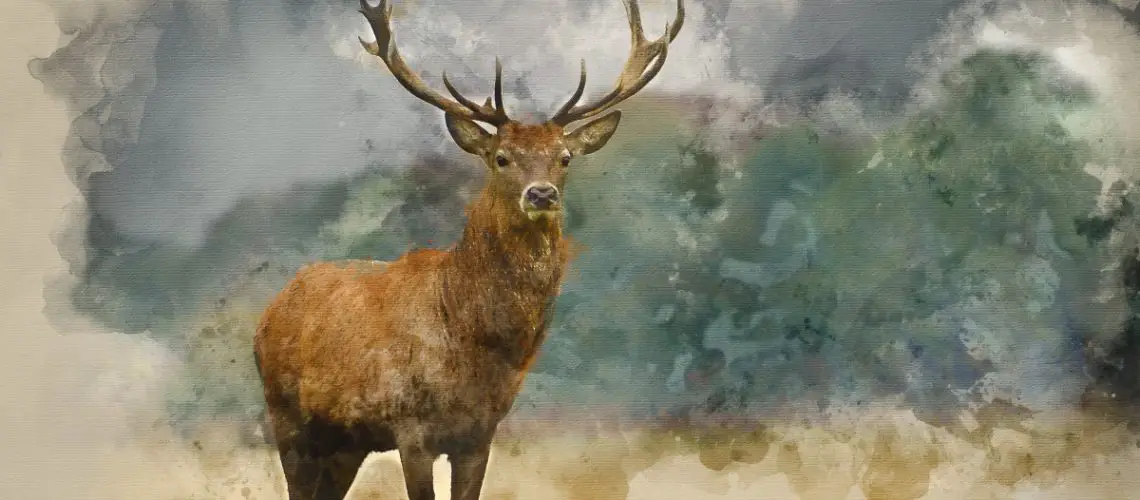 Deer Symbolism